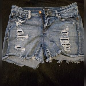Judy Blue Shorts